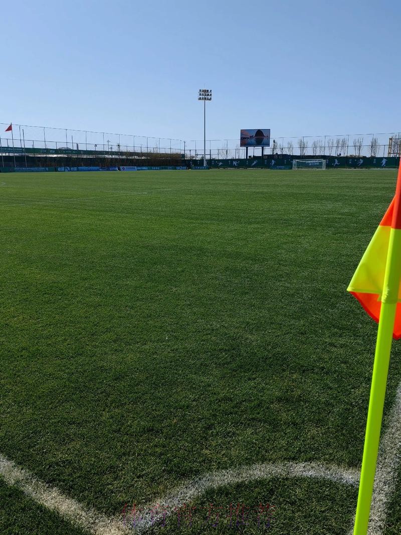 中国足球协会公布中乙中甲中超三大赛事奖项信息 中国足球协会公布中乙中甲中超三大赛事奖项信息